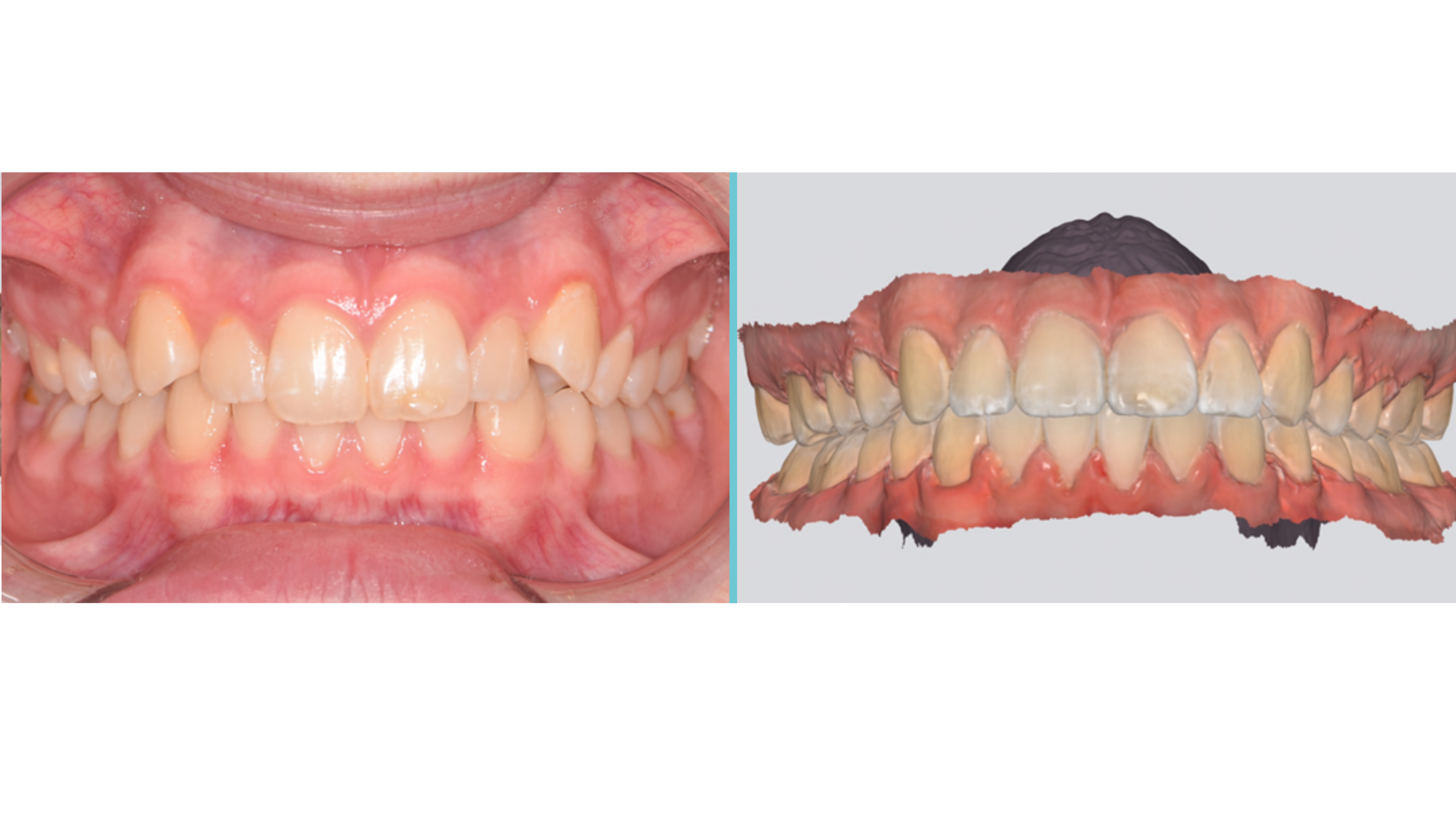 Trotter Case Study 3 - header image